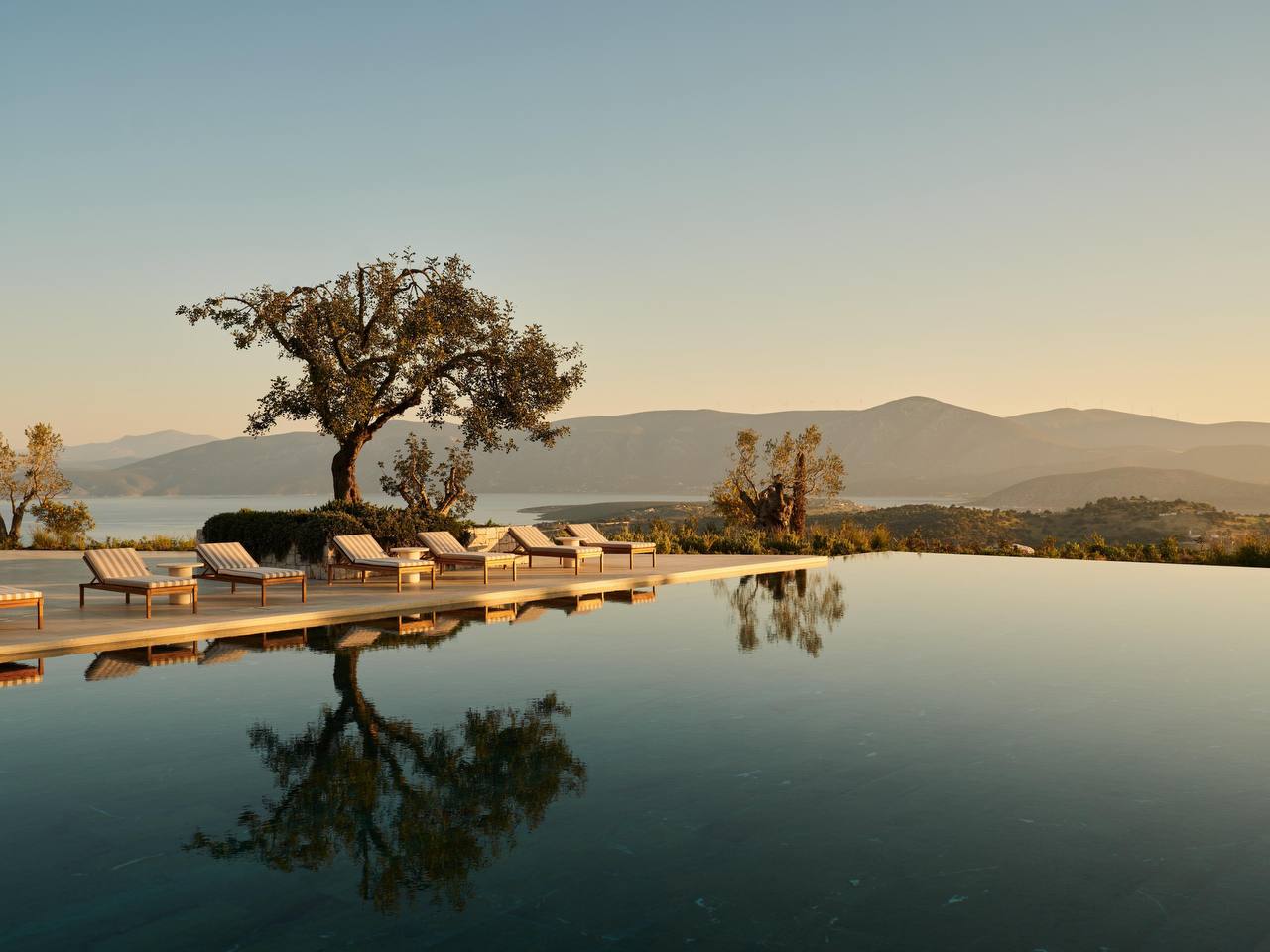 Infinity pool with olive trees in golden light